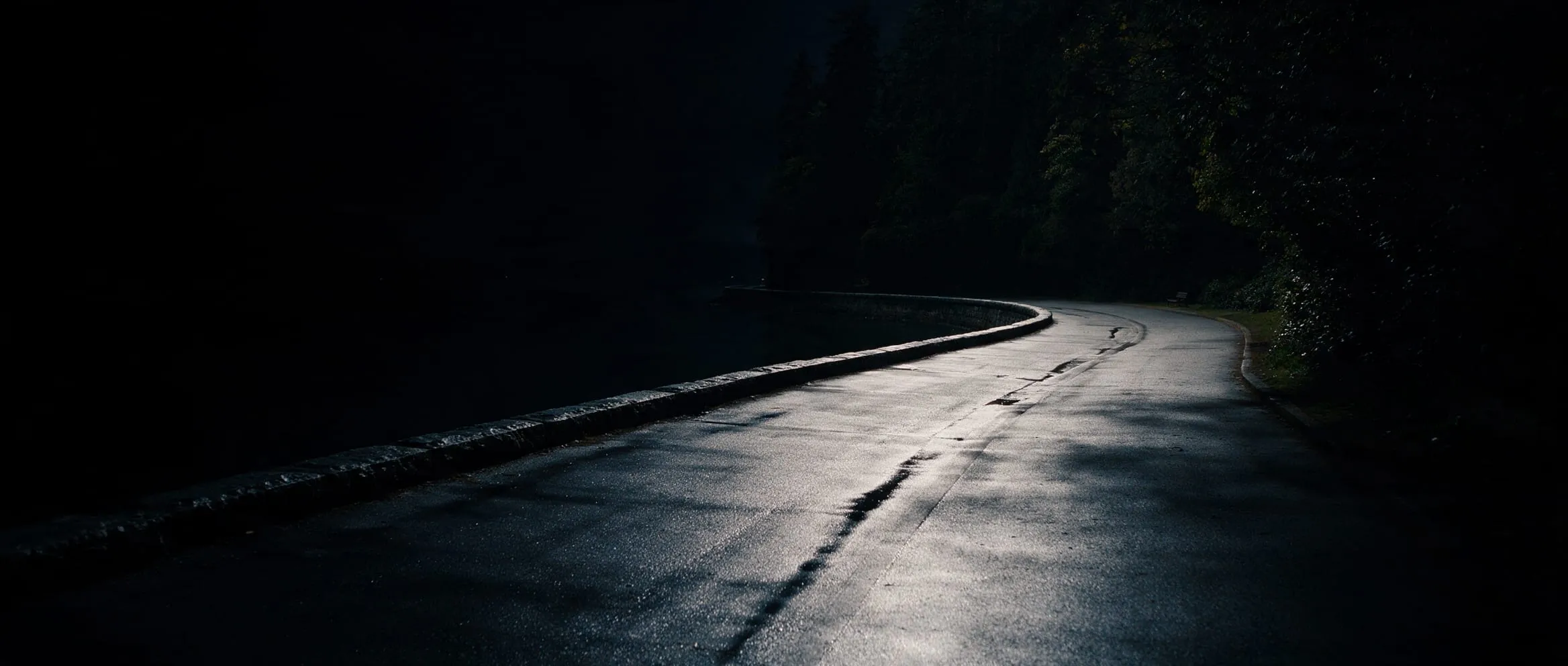 Wet road through Stanley Park at night